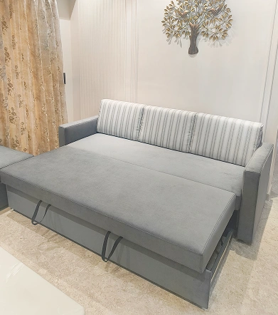 Sofa Cum Bed